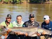 Mato Grosso do Sul reabre para pesca