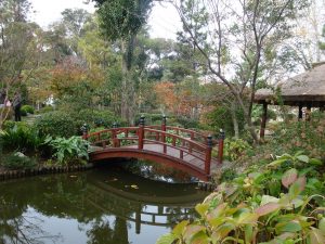Passeios pelo Jardim Japonês são uma ótima opção 