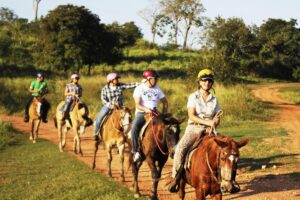 Pantanal será um dos destinos mais procurados em 2021