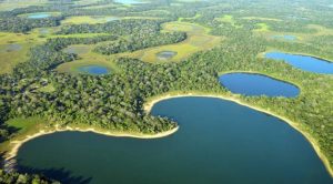Pantanal será um dos destinos mais procurados em 2021