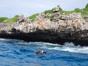 Pesquisa com mergulhadores demonstra importância da geoconservação do ambiente marinho