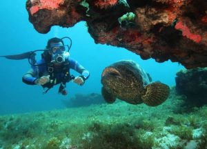 Pesquisa com mergulhadores demonstra importância da geoconservação do ambiente marinho