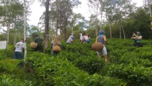 Registro e Miracatu, aventura e sabores no Vale do Futuro