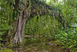 Reserva Natural Salto Morato reabre para o público