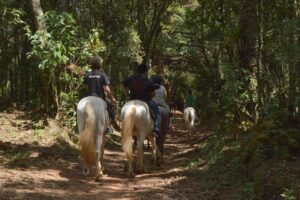 Tarundu, parque eco radical da Mantiqueira