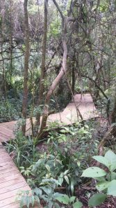 Tarundu, parque eco radical da Mantiqueira
