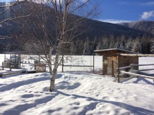 Um terço dos brasileiros busca acomodações na neve