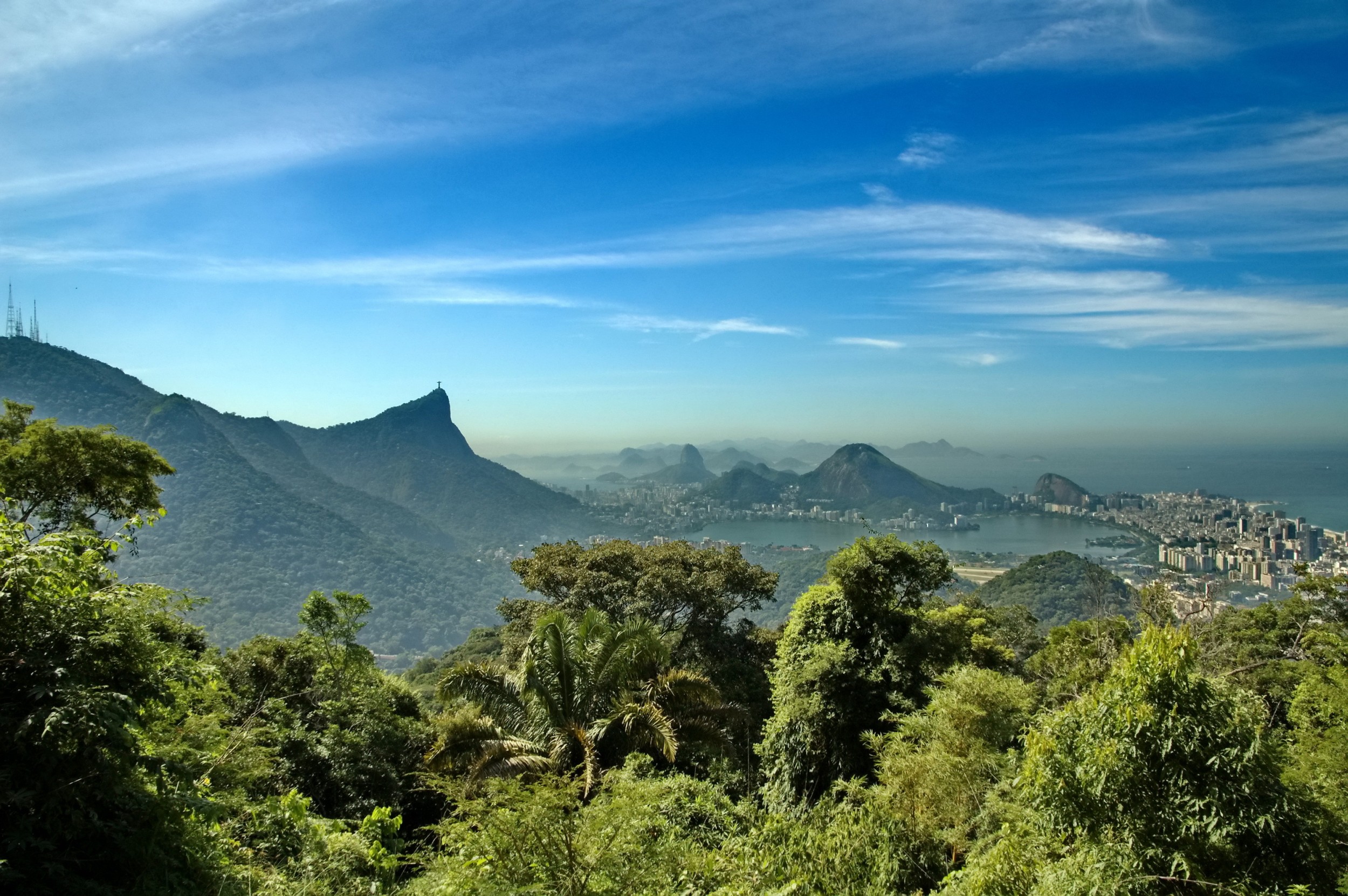 Você sabe a diferença entre Amazônia e Mata Atlântica